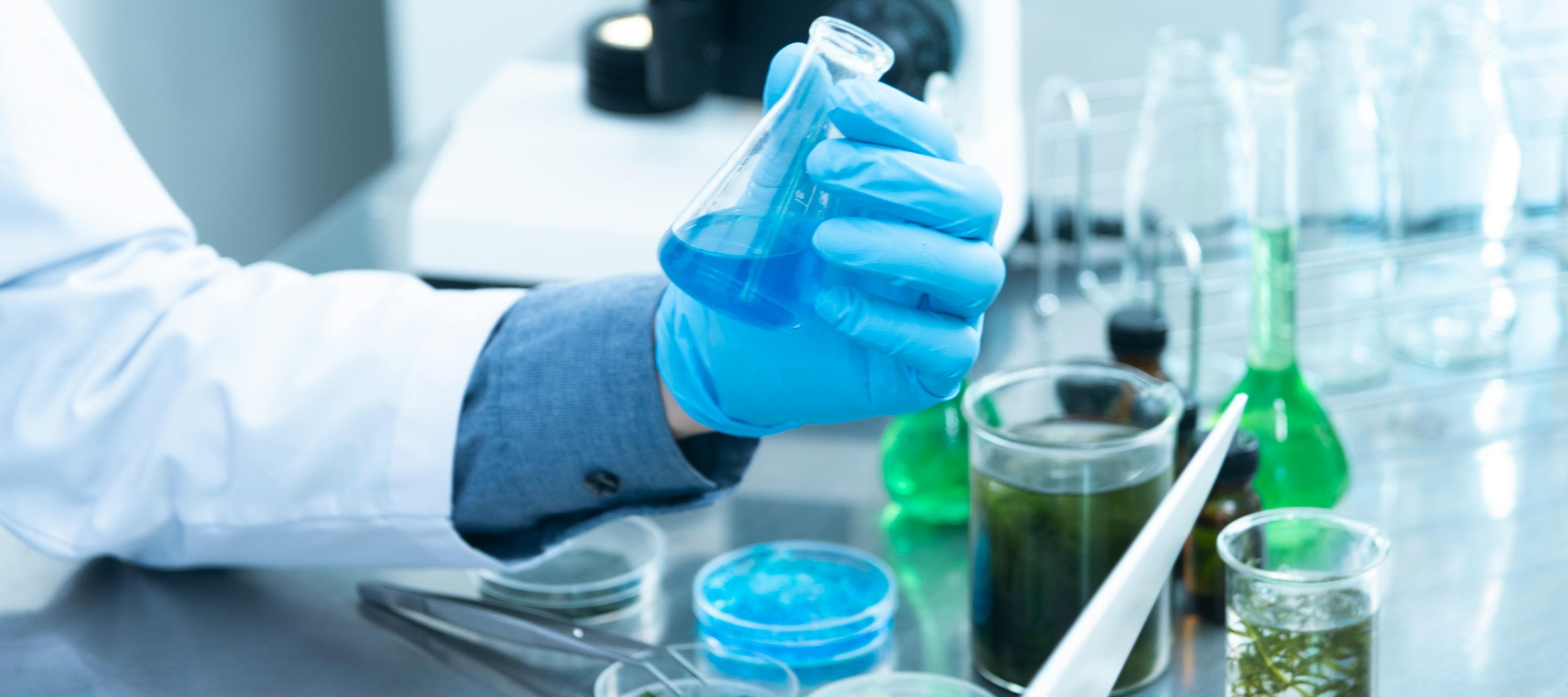 Donazione leucemia: i progetti e le associazioni più importanti