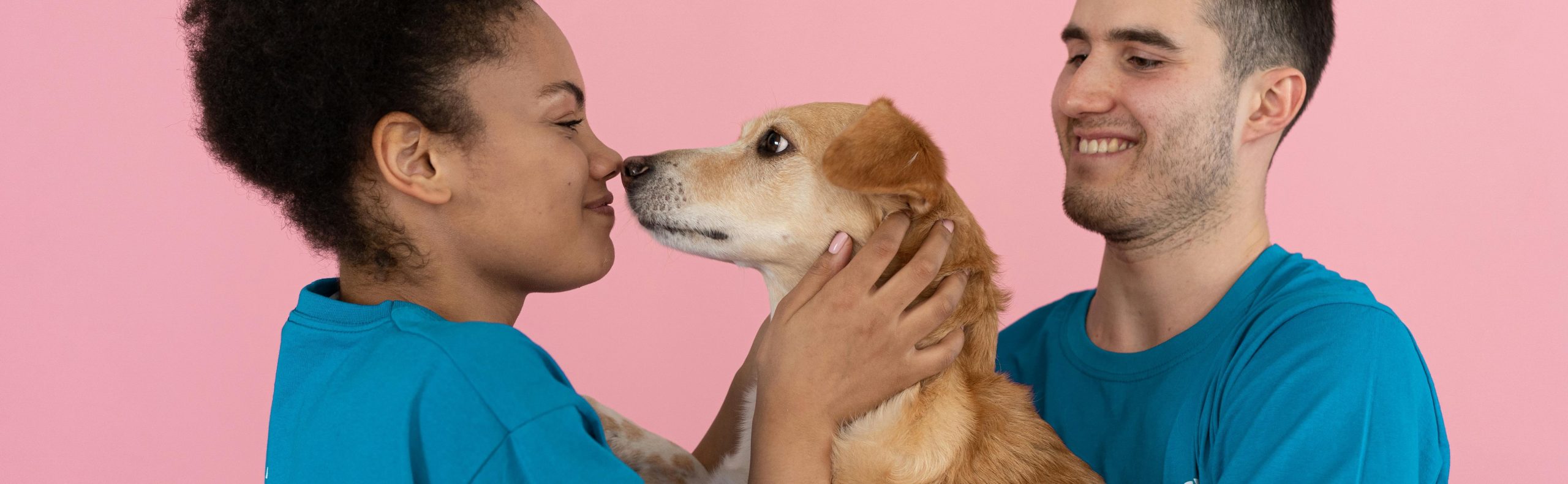 Come aiutare gli animali