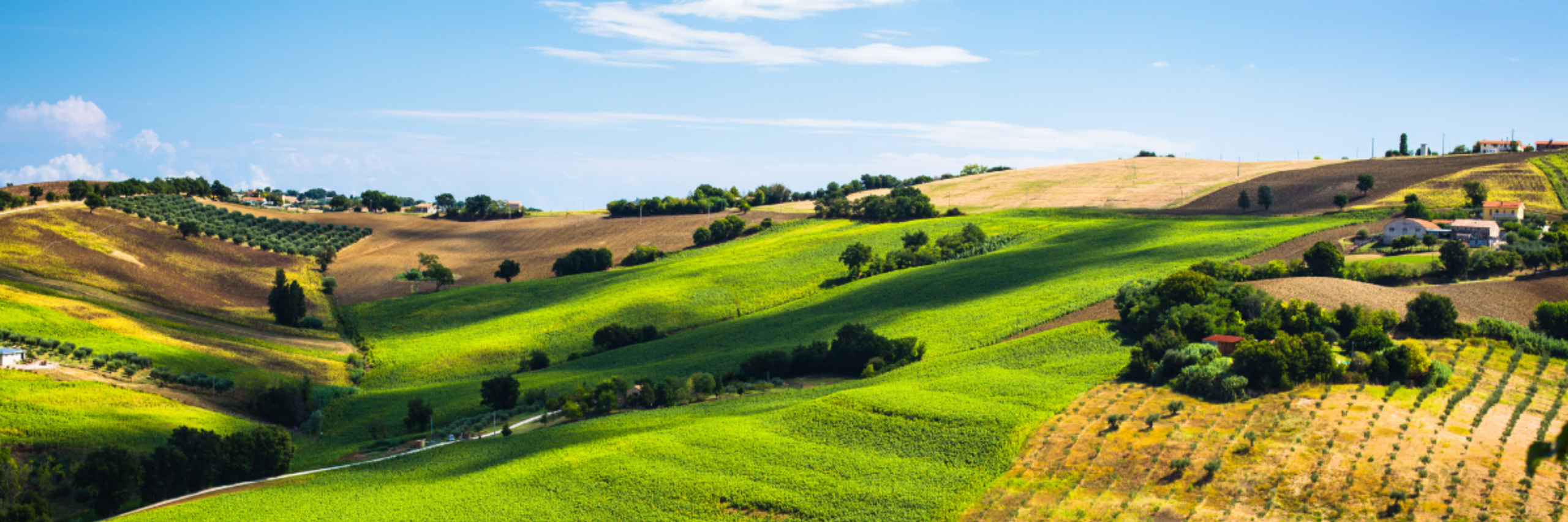 Comunità e territorio al centro: il crowdfunding che genera valore condiviso