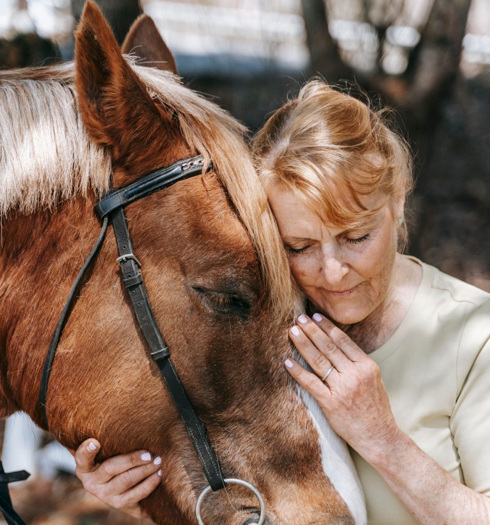 pet therapy cavalli