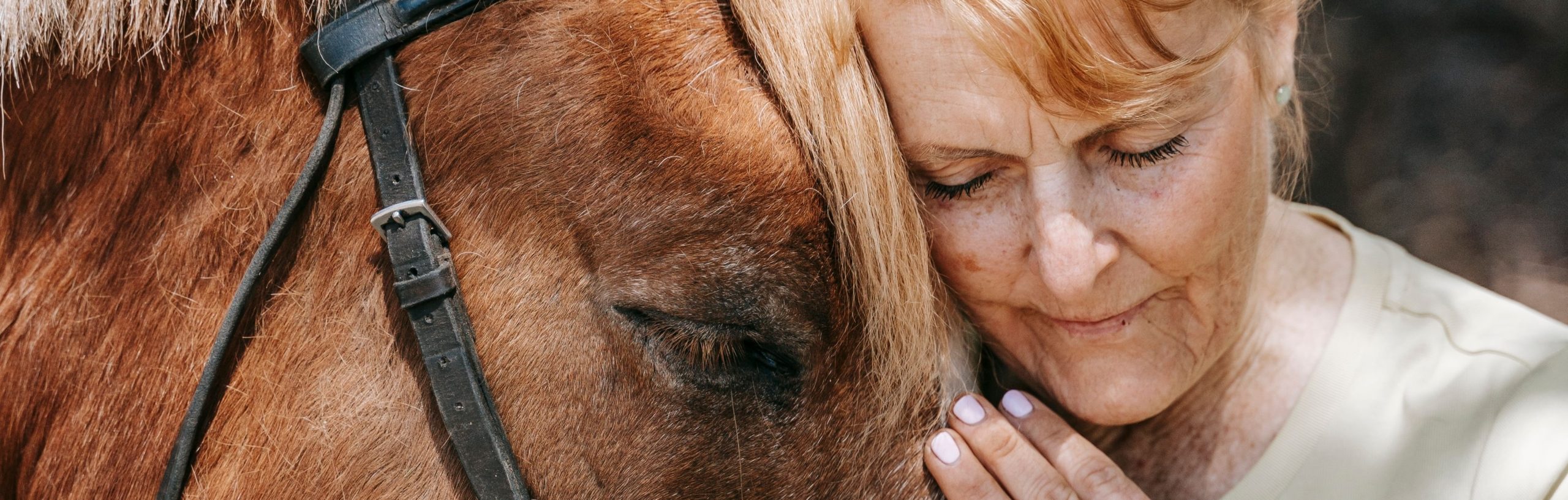 Pet therapy cavalli: perché farla e come finanziare i progetti