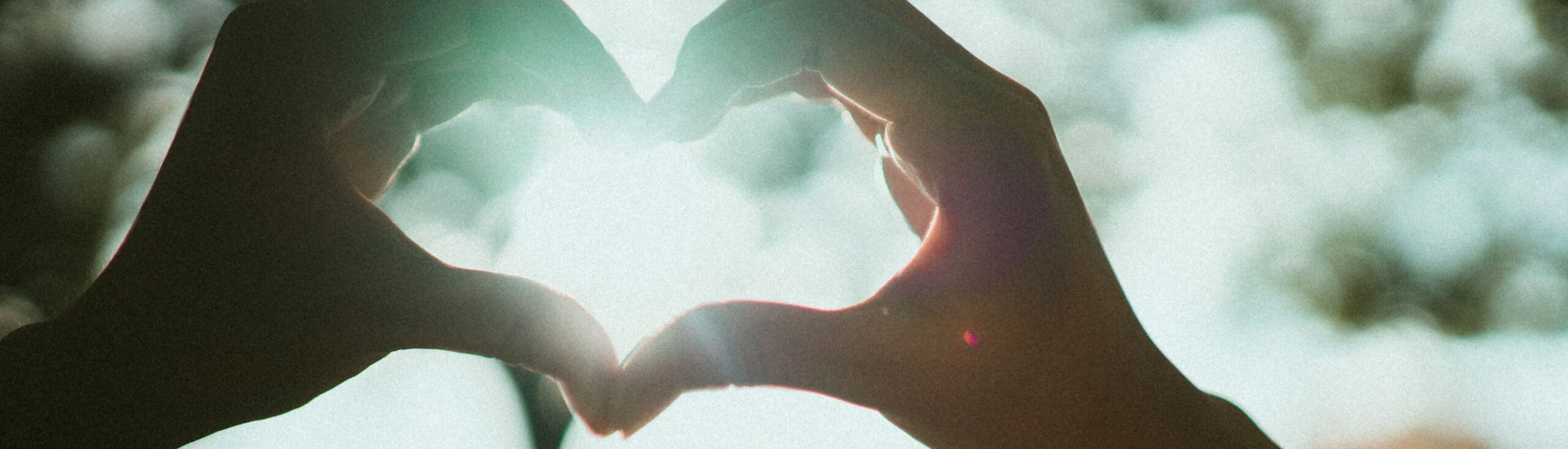 Donazione in memoria: come fare una raccolta fondi per ricordare una persona cara